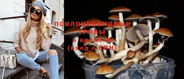 прущая мука Арсеньев