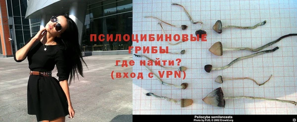 apvp Аркадак