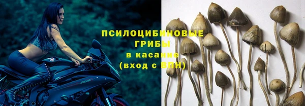 прущая мука Арсеньев